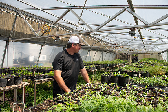 DeepRoots_April 2024_LR_28