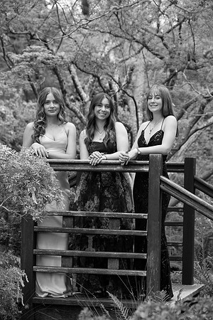 CHS_PROM_132