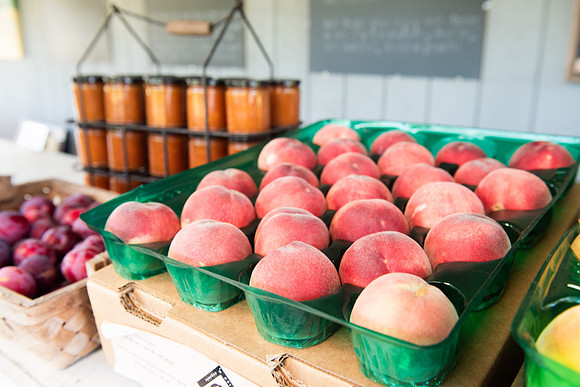 DryCreekPeach_LR_2023_45