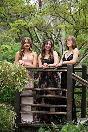 CHS_PROM_130