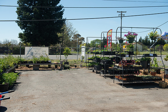 DeepRoots_April 2024_LR_38
