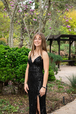 CHS_PROM_085