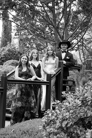 CHS_PROM_081