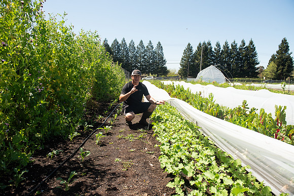 DeepRoots_April 2024_LR_19