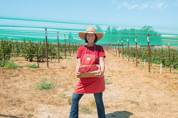 BoringFarms_06