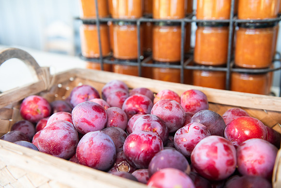 DryCreekPeach_LR_2023_49