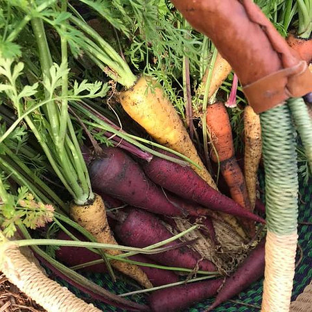 Harvest020