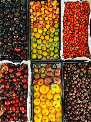 Harvest055