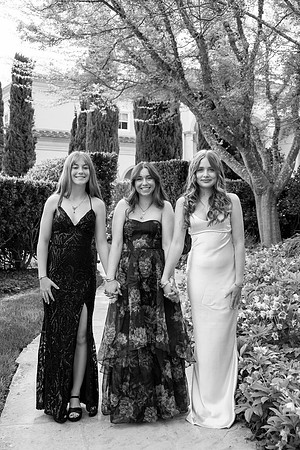 CHS_PROM_173