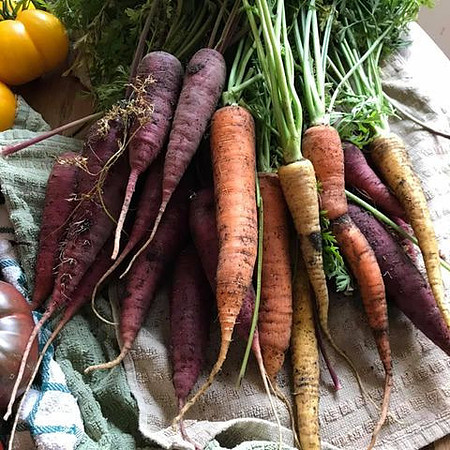 Harvest019
