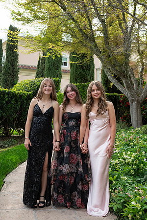 CHS_PROM_169